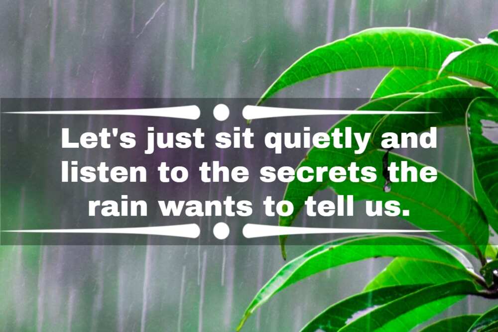 morning rain quotes