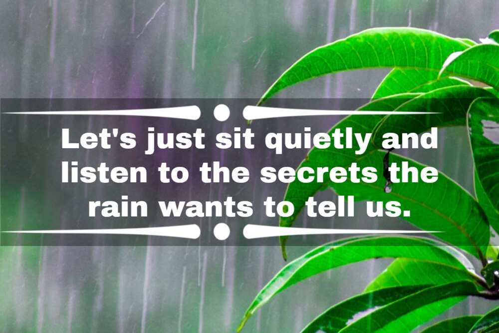 70+ cute rainy day quotes for people who enjoy a little drizzle