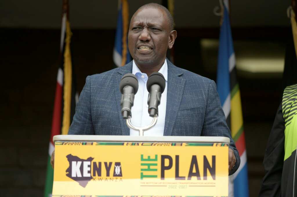 Kenya's Ruto Vows To Slash Price Of Food Staple - Legit.ng