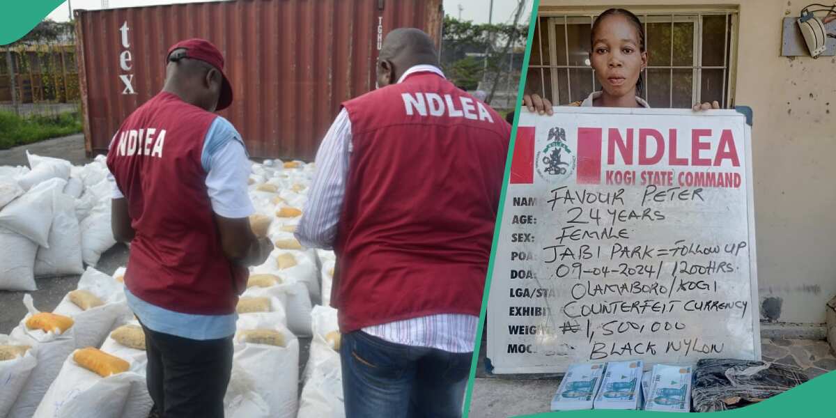 Shocking: Pregnant woman, widow arrested as NDLEA crackdown on illicit drugs