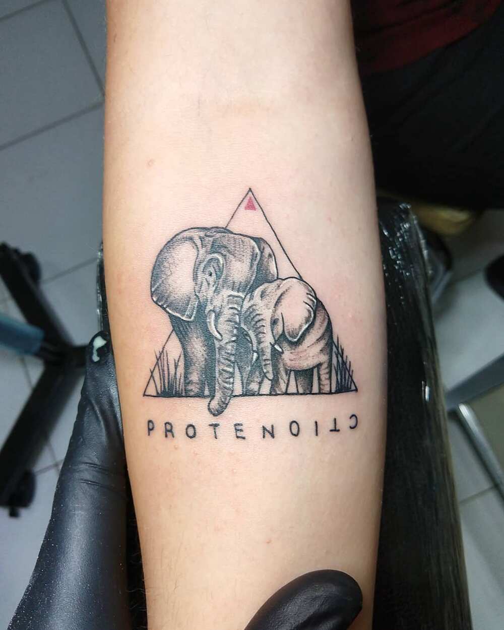 Baby elephant tattoo