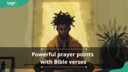 100 powerful prayer points with Bible verses: Prayers and blessings