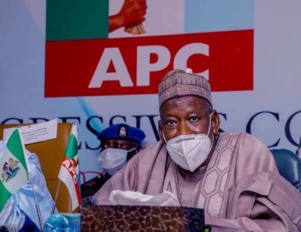 2023: Tinubu ya shiga matsala yayinda matasan Arewa suka aika sakon gargadi ga Ganduje