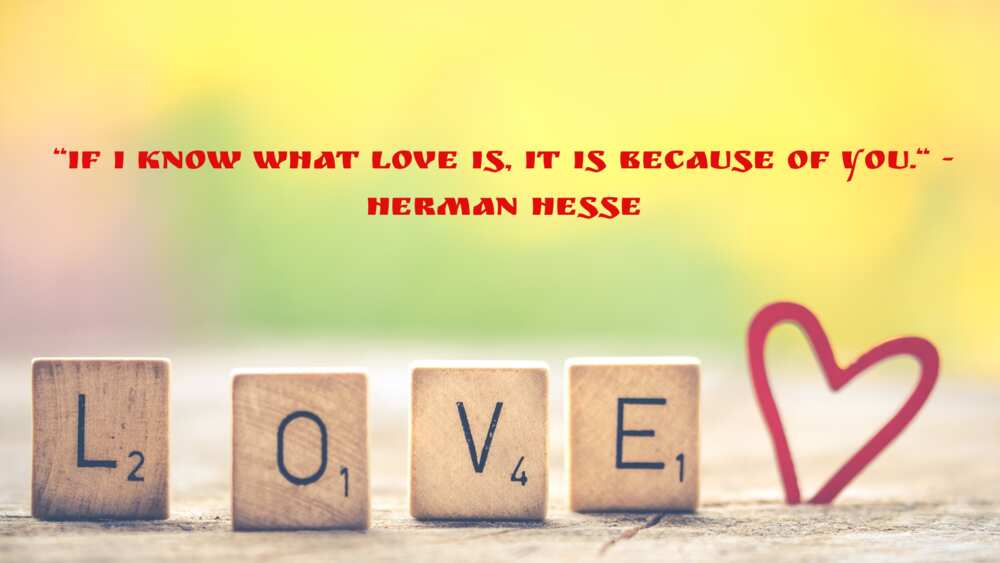 Cute couple quotes Cute couple quotes