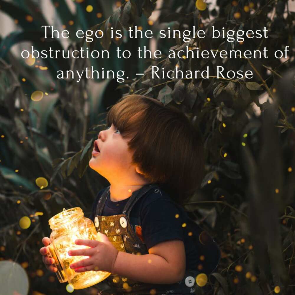 ego quotes images ego quotes images
