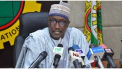 NNPC reforms: “My life is in danger”, Kyari raises alarm over death threats