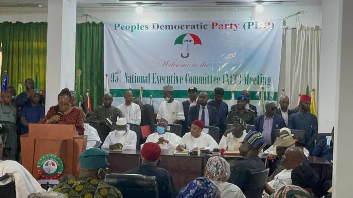 2023 presidency: PDP NEC finally gives last say on zoning, open ticket, consensus