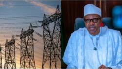 Strike: Experts berate electricity workers, say shutting down national grid is sabotage
