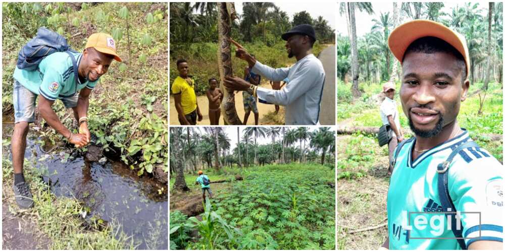 Nigerian graduate becomes a full time farmer, says he wants to contribute to the country's food produce