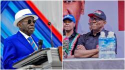 Tinubu, Atiku or Peter Obi? Afe Babalola reveals the most qualified presidential candidate to lead Nigeria