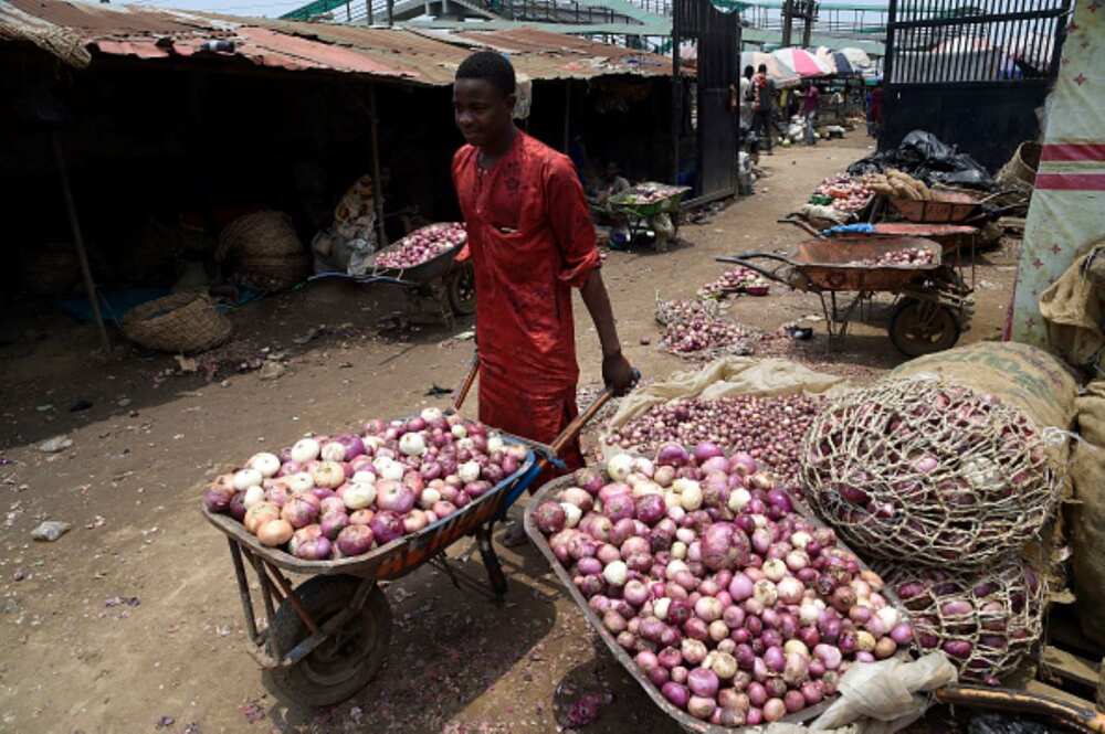 Onions in Nigeria