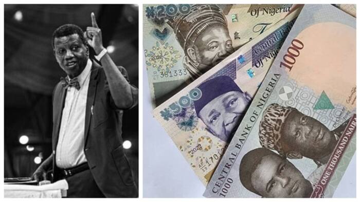 New Naira Notes: Pastor Adeboye knocks FG as he criticises move, tells Nigerians how to avoid hypertension