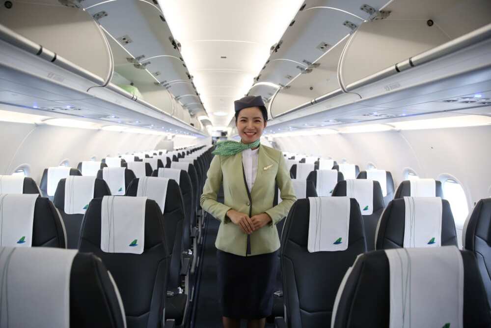 Flight attendant salary