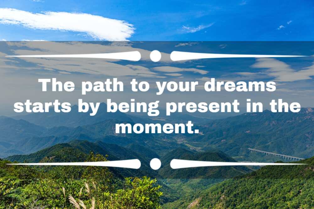 50+ cool live in the moment quotes to help you seize the day 