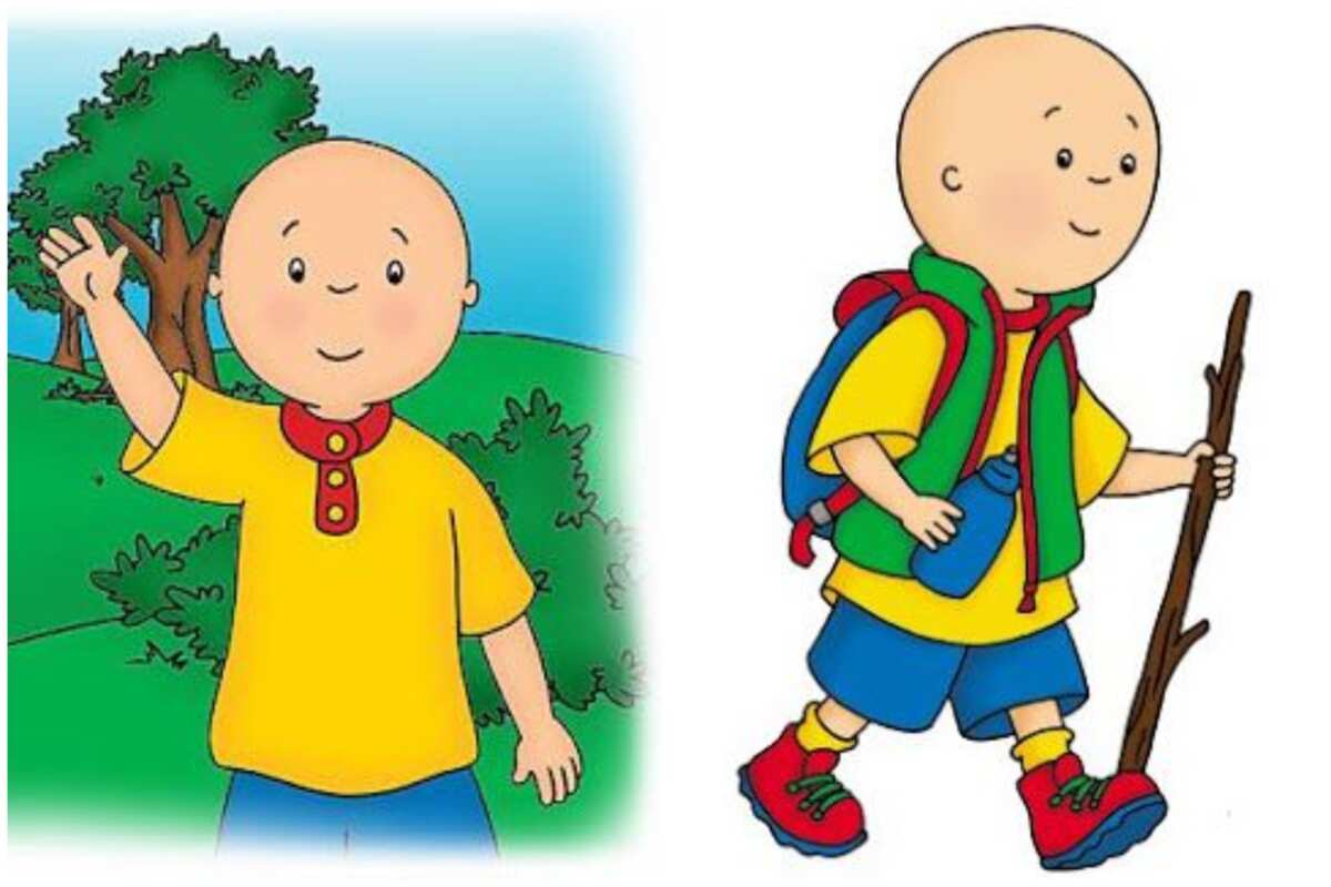 33 Most Popular Bald Cartoon Characters Everyone Remembers - Legit.ng