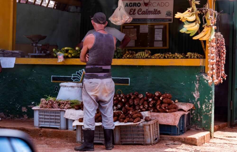 According to official figures, agricultural production in Cuba fell 35 percent between 2019 and 2023