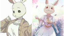 Tout savoir sur Haru : le personnage de l'univers Beastars