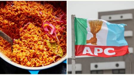'Rice is not preferred meal': APC spokesman defends rising cost of living in video, Nigerians react