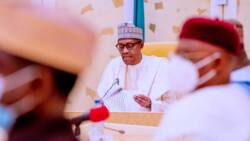Nigerians are being killed like chickens, Northern leaders tell Buhari