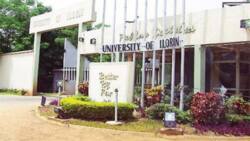 Unilorin lecturer beaten to coma by student now stable, VC reveals