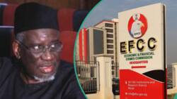 Alleged 300m fraud: EFCC re-arraigns Jonathan's ex-minister, details emerge