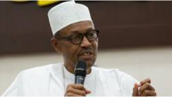 Why Buhari cannot be charged with financial crimes after May 29, Presidency speaks