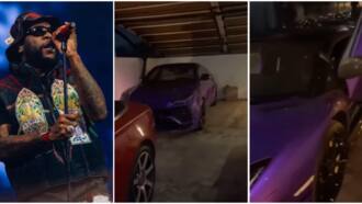 Beryl TV 8a9c27207c1b2073 “Global Tune”: Video Trends As Burna Boy’s Last Last Plays at Chris Brown’s Daughter’s Birthday Party 