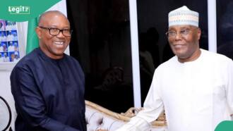 Atiku's proposal: Peter Obi gives condition to join political alliance ahead of 2027