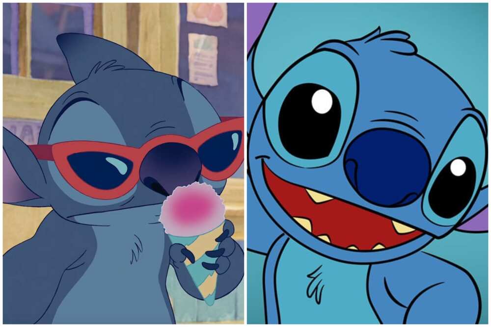 Stitch from scenes of Lilo and Stitch