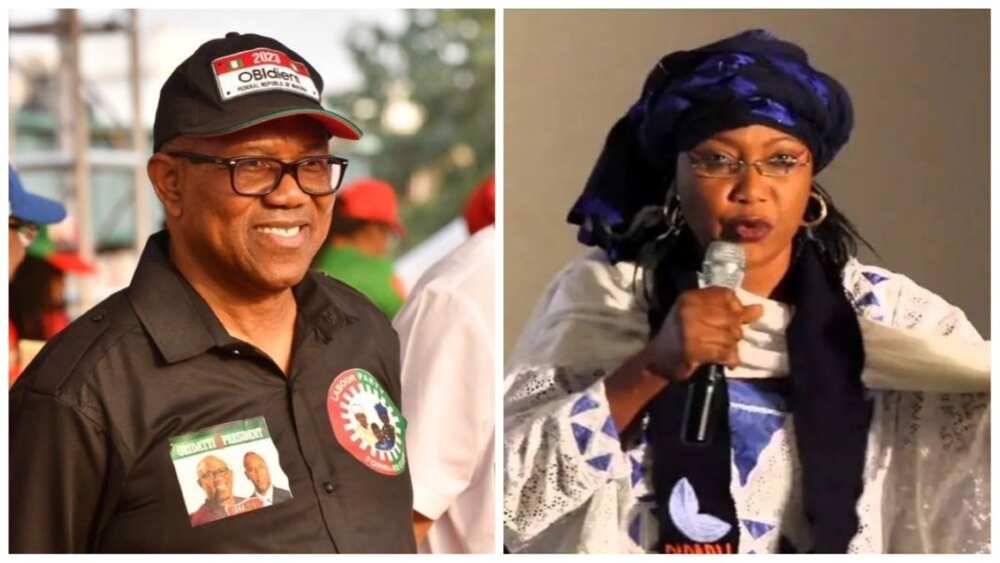 Naja'atu Muhammadu, Peter Obi, Labour party, APC, 2023 presidential election