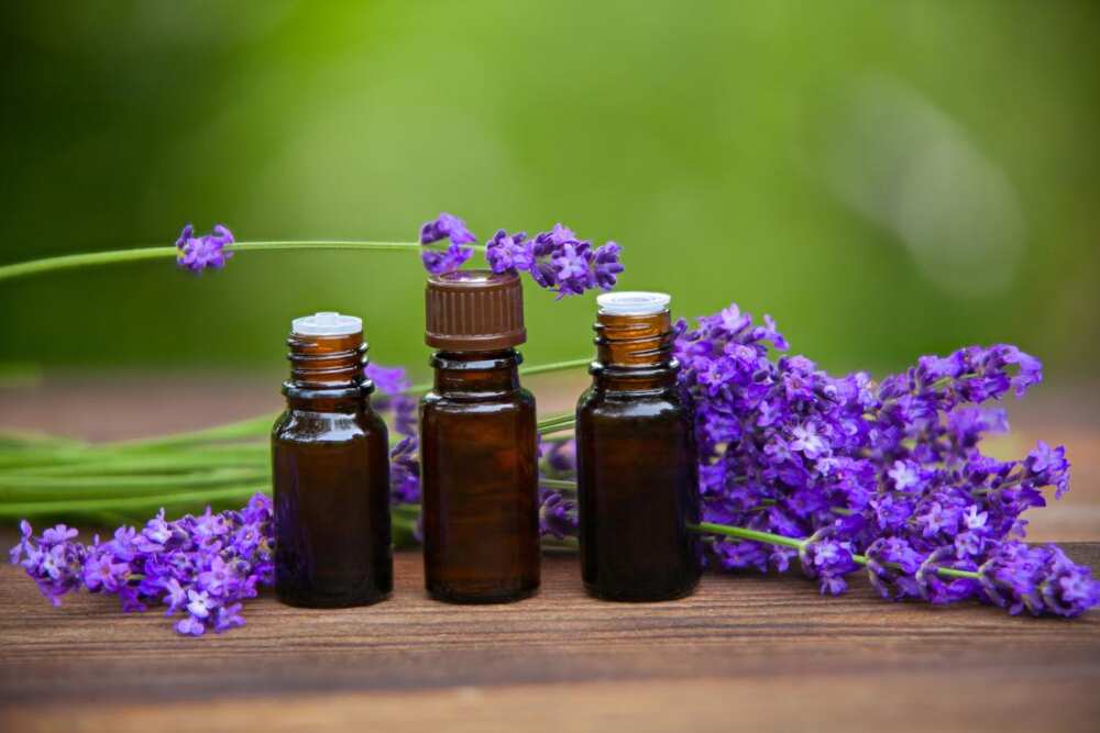 Essential oil you can use to get your lover back