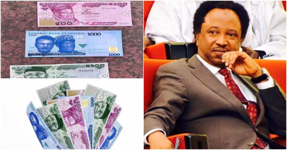 Senator Shehu Sani, CBN, Naira scarcity, new naira notes, POS agents, ATM