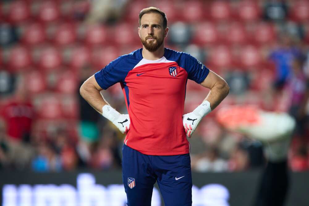 the best goalkeeper in the world the best goalkeeper in the world