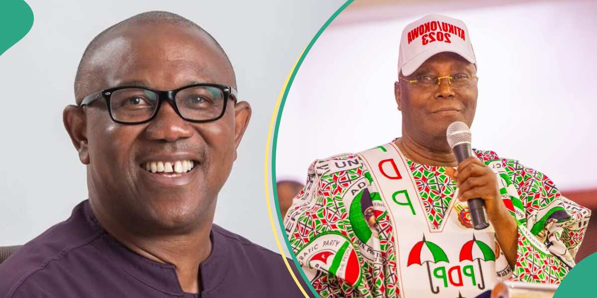 Peter Obi to return to PDP? Spokesman reveals reason LP presidential candidate met with Atiku, Saraki, Lamido