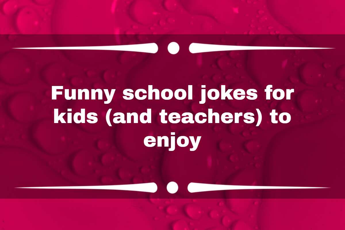 funny pictures for kids at school