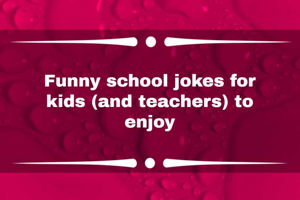 Kids jokes about school