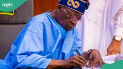 BREAKING: Tinubu approves appointment of 8 new director generals