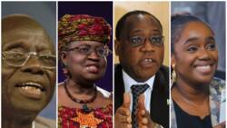 Okonjo-Iweala, Aganga: List of Nigeria's minister of finance since 1999 and their state of origin