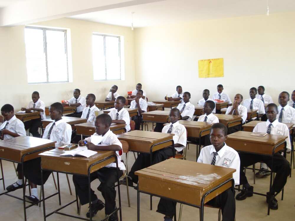 COVID-19: Schools must adopt guidelines to be reopened - Education commissioner