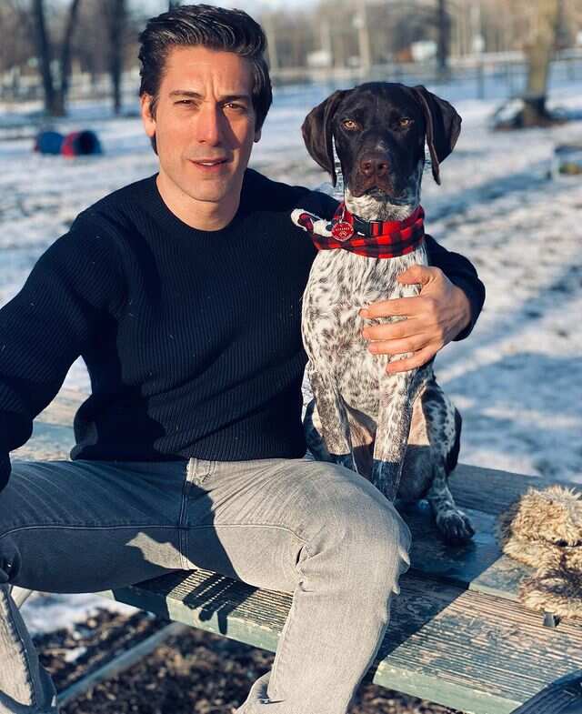 David Muir In Relationship A Deep Dive Into His Personal Life