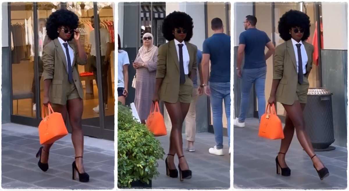 Video: See how this lady displayed cat walking in public, you will love it