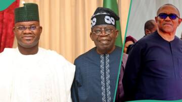 Yahaya Bello said Peter Obi won 2023 election but he helped rig it for Tinubu? Fact emerges