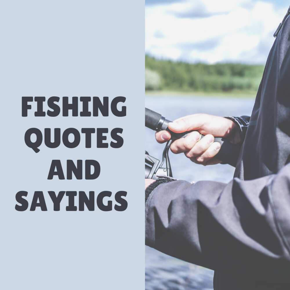30+ great fishing quotes and sayings for the lovers of this hobby 