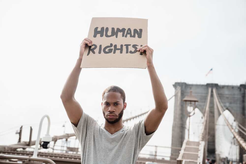 agencies responsible for protection of human right