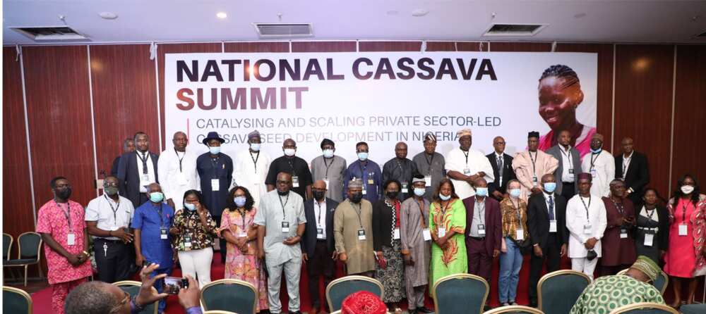 Cassava Summit