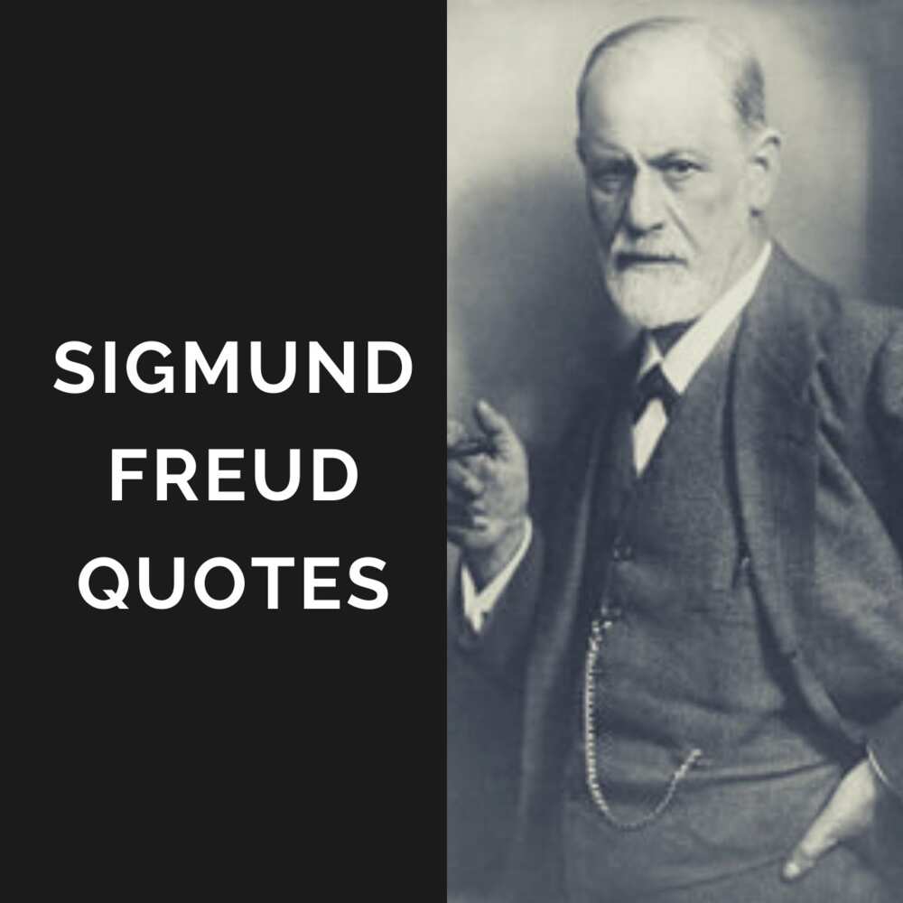 sigmund freud quotes on life