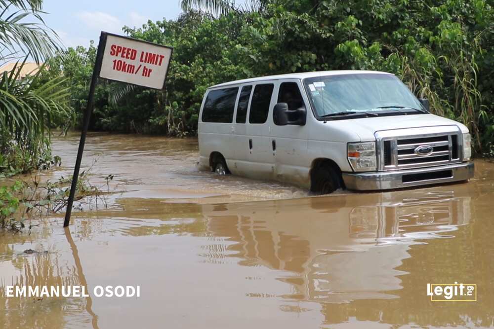 Crocodiles, wild animals invade Ogun community