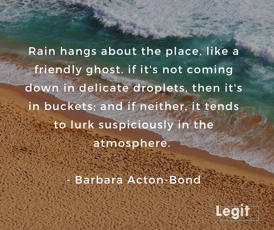 quotes about raindrops