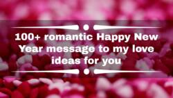 100+ romantic Happy New Year message to my love ideas for you