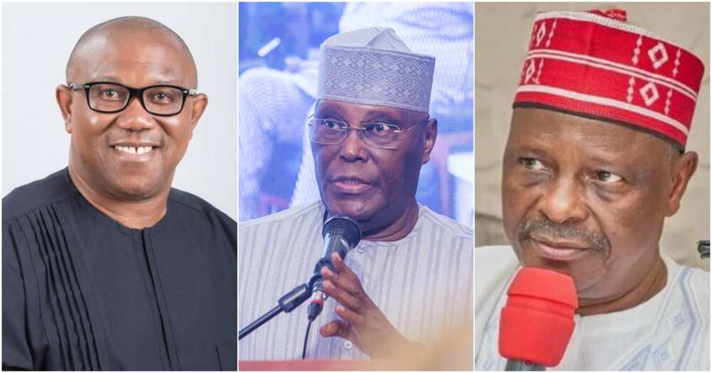 2023 presidential election, PDP, NNPP, LP, Atiku Abubakar, Rabiu Kwankwaso, Peter Obi